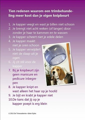 Waarom!? : grappig om te weten, zeker even lezen!